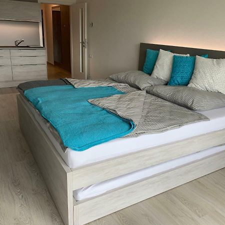 Apartman Denisa Lipno nad Vltavou Εξωτερικό φωτογραφία