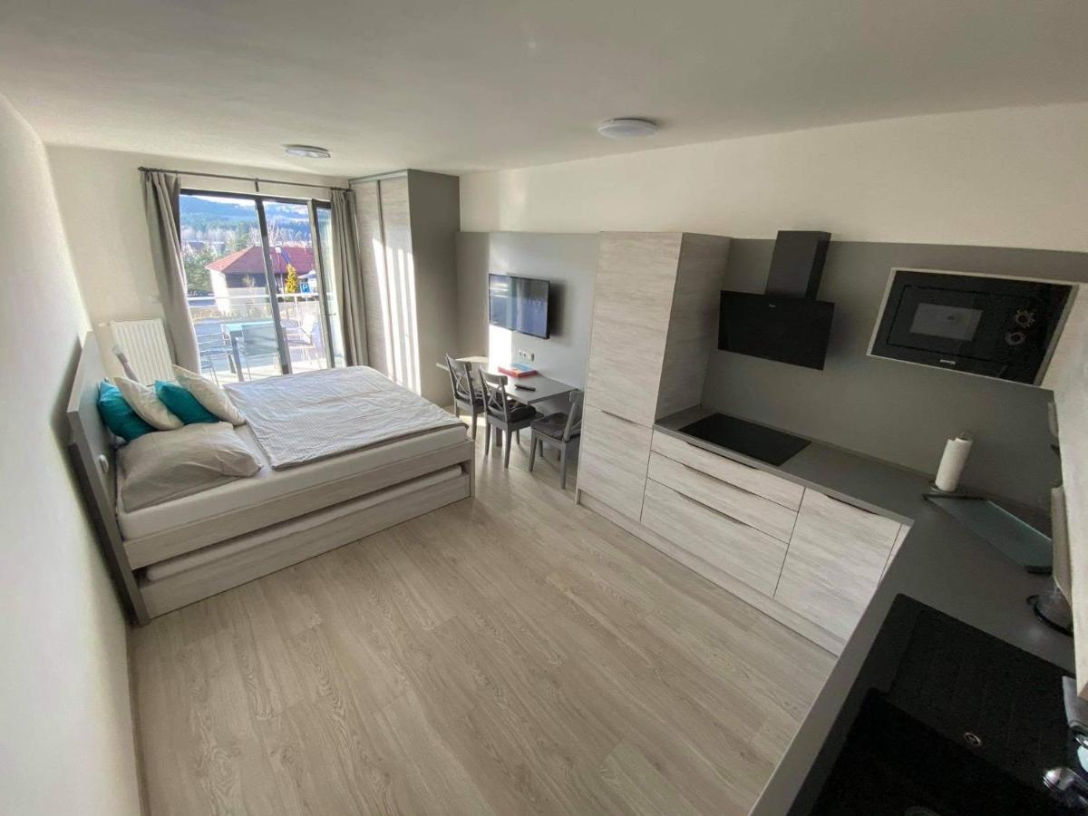 Apartman Denisa Lipno nad Vltavou Εξωτερικό φωτογραφία