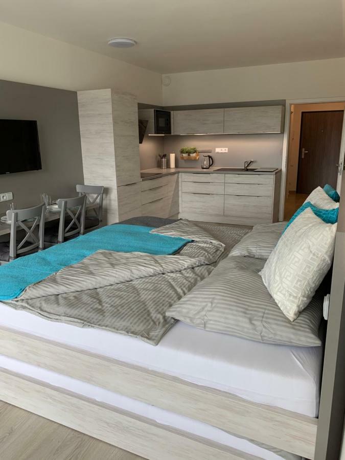 Apartman Denisa Lipno nad Vltavou Εξωτερικό φωτογραφία