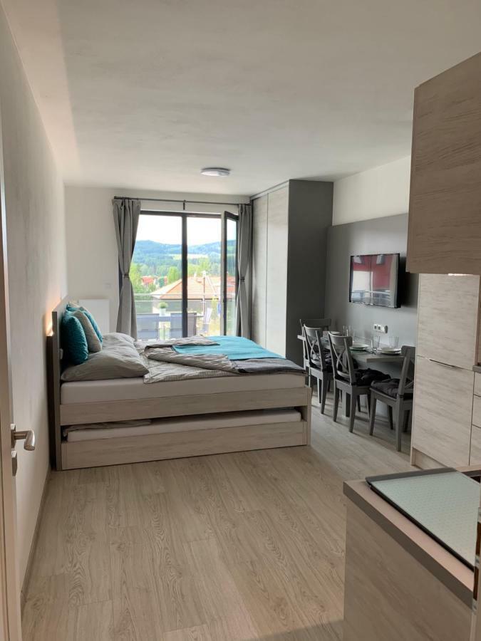 Apartman Denisa Lipno nad Vltavou Εξωτερικό φωτογραφία