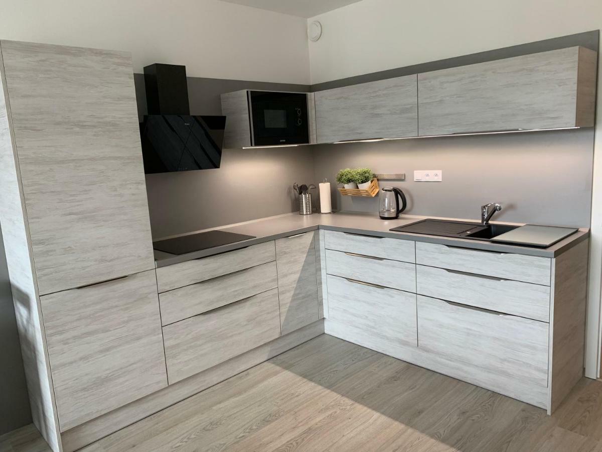 Apartman Denisa Lipno nad Vltavou Εξωτερικό φωτογραφία