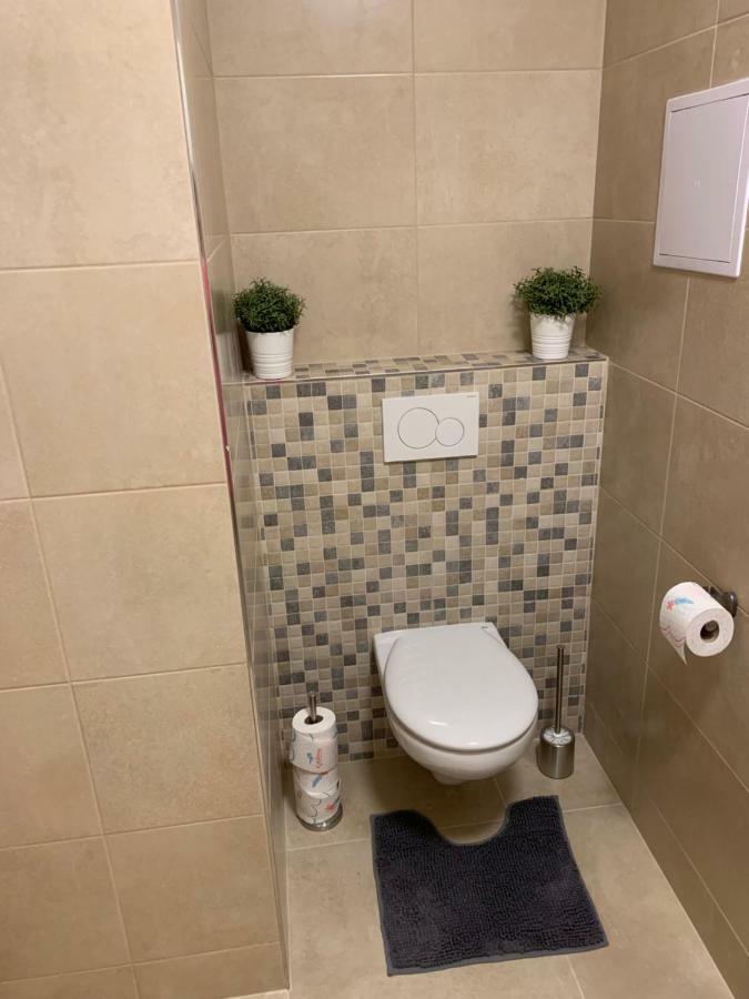 Apartman Denisa Lipno nad Vltavou Εξωτερικό φωτογραφία